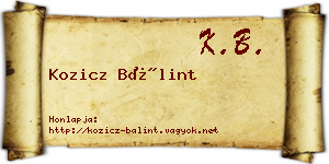 Kozicz Bálint névjegykártya